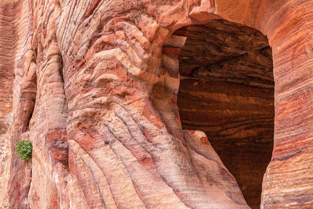 Petra