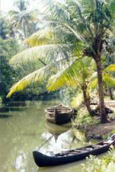 Los backwaters