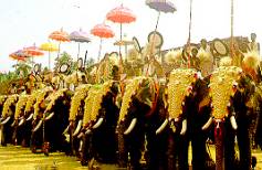 La fiesta de Pooram